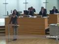 Herr Gansel, und jetzt ist Schluß