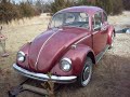 Rescued 1968 Euro Beetle VW (6 of 6) Rescued 1968 Euro Beetle VW (6 of 6)