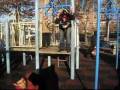 videos de M16 vs Chaotic vs Diablo