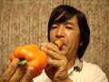 Cucumber trumpet 