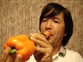 Cucumber trumpet 