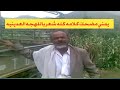 اليمن اب العدين