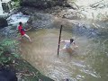 Pendekar Musang Siguntang Dari Gua Musang