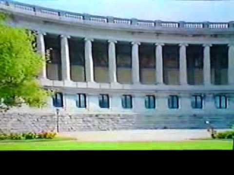 zaiko langa langa familia dei zaiko langa langa familia dei