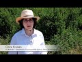 Rominger Brothers Farms - Research
