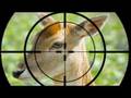 Killing Bambi for Your Salad | ZapRoot