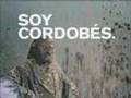 Rally-Argentina-2008