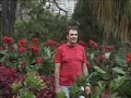 Clemente-Vais-partir