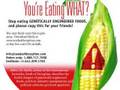 Your Eatting What? With Jeffrey Smith (part 11)