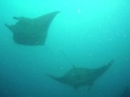 Mantamantamantabaduhithi Thila Maldives