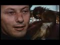 F COME FALSO - Orson Welles e gli esperti...