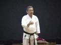 Traditional Karate Masters Series 7