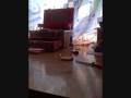 Animacion....wmv