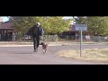Abuelo en Skate