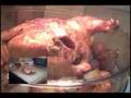 Infrared Halogen Oven