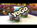 Yogo