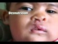 COMERCIAL FNQ :: ... COMERCIAL FNQ