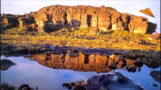 Un toque de tu Gloria- Manantial de inspiracion