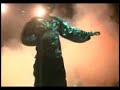 III Encontro de Dança de Rua em João Pessoa, 24 de setembro no Galpão 14, Centro Histórico de João Pessoa/PB.Evento organizado por Vant da Tribo Éthnos em parceria com o Gabinete Cultural de Fuba, Funjope e Mídia Ativa. Grupos participantes: Estilo Potiguar (RN), Klose Dancers e Corpus (Alagoa Grande/PB), Aprendiz de Hip-Hop e Scorpions (Cabedelo/PB), Turma do Bairro, Adolescentes em Ação, Pequenos Dançantes, Jovem Tribo, Tribo Éthnos.Imagens e edição: Fábio Palmer