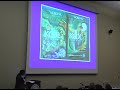 Alvin F. Poussaint - Pt. 4 - CCFC Summit 2008 Alvin F. Poussaint - Pt. 4 - CCFC Summit 2008