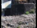 videos de La incineración de residuos en La Palma: El crimen perfecto