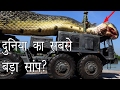 दुनिया का सबसे बड़ा साँप | Largest Snake in the World | Hoax or Real? | Hoax Hunting Episode 2