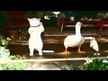 【パロディー】まねきねこダック【ホラー風】