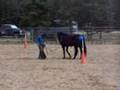 Awesome dismount!