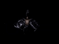 Exhale (Official Video) 