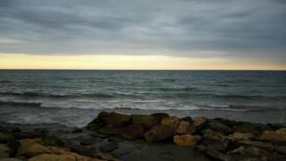 Wave of Life