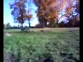 Quad jump 5 Quad jump 5