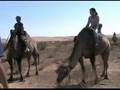 Mongolie, désert de Gobi (MG-3) Mongolia Монгол улс