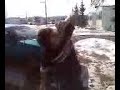 shotgun