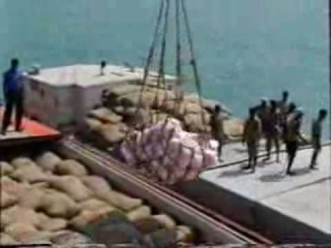 A 45 day Naval miracle at Myliddy - ...