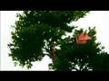 Hotel Nikko Commercial - Bonsai