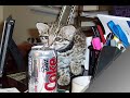 The Wild World of Tame Exotic Pets EXPOSED! The Wild World of Tame Exotic Pets EXPOSED!