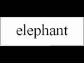 Learn English - Animal Vocabulary (English only version) 