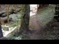 Bull Creek Flats trail, Humboldt Redwoods State ...