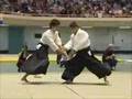 Aikido Seki Shihan