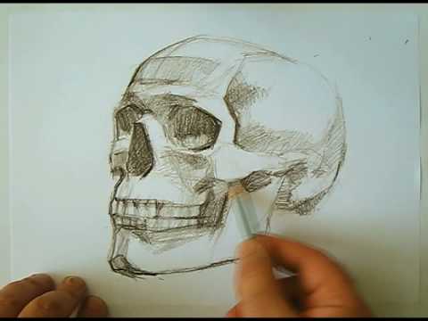 how to draw skulls
