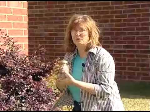 how to collect soil samples