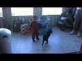 Zander playing with cats-1/1