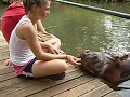 Jessica Hippo