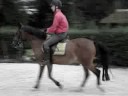 Johan & Roudy