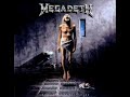 Megadeth Sweating Bullets Vocal Cover