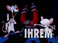 Pinky und der Brain 