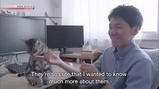 Cat Documentary