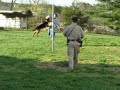 Bryan -vs- The Police K9