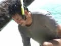Vilu Reef の ビーチコテージ ～ Maldives モルディブ ～