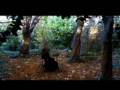 Bellx1 - Flame Video